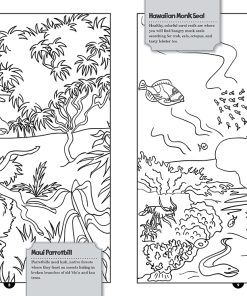 Alternative view of A Home for Honu