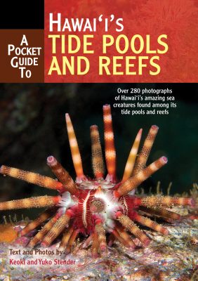 Pocket Guide to Hawaii's Tide Pools and Reefs, A