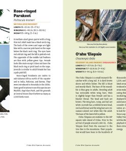 Alternative view of Birdwatcher's Guide to Oahu