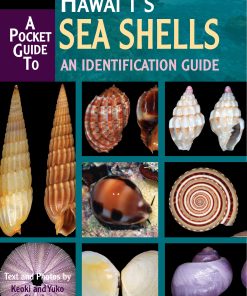 Alternative view of Pocket Guide to Hawaii's Sea Shells