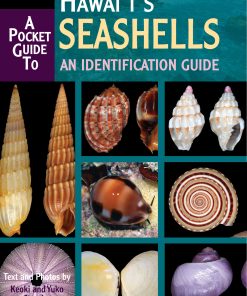 Alternative view of Pocket Guide to Hawaii's Seashells